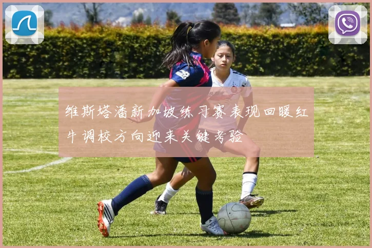 维斯塔潘新加坡练习赛表现回暖红牛调校方向迎来关键考验