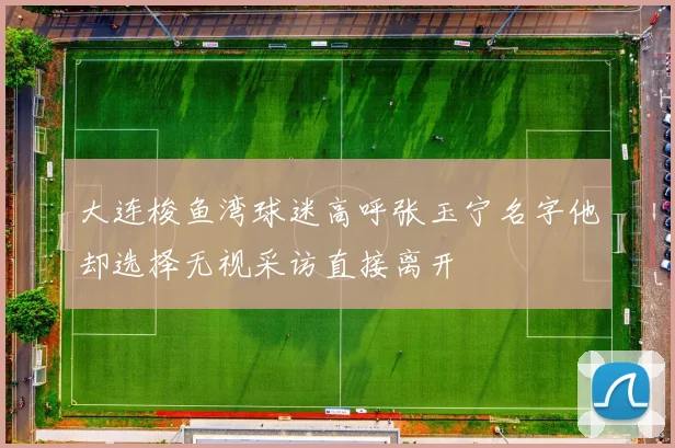 大连梭鱼湾球迷高呼张玉宁名字他却选择无视采访直接离开